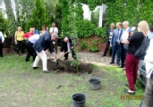 SADZENIA DĘBÓW CHWAŁY